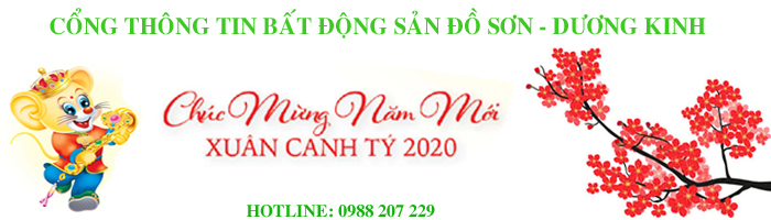 20202